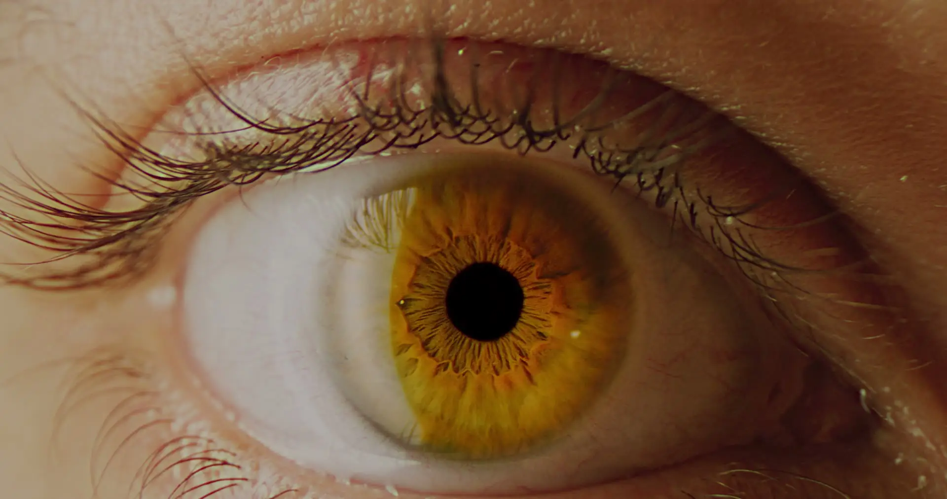 Darstellung von Vitamin A Tropfen 3.000 I.E  – natürliche Unterstützung für dein Immunsystem