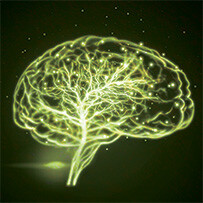 Support for the Nervous System Multi Bild zu Support for the Nervous System