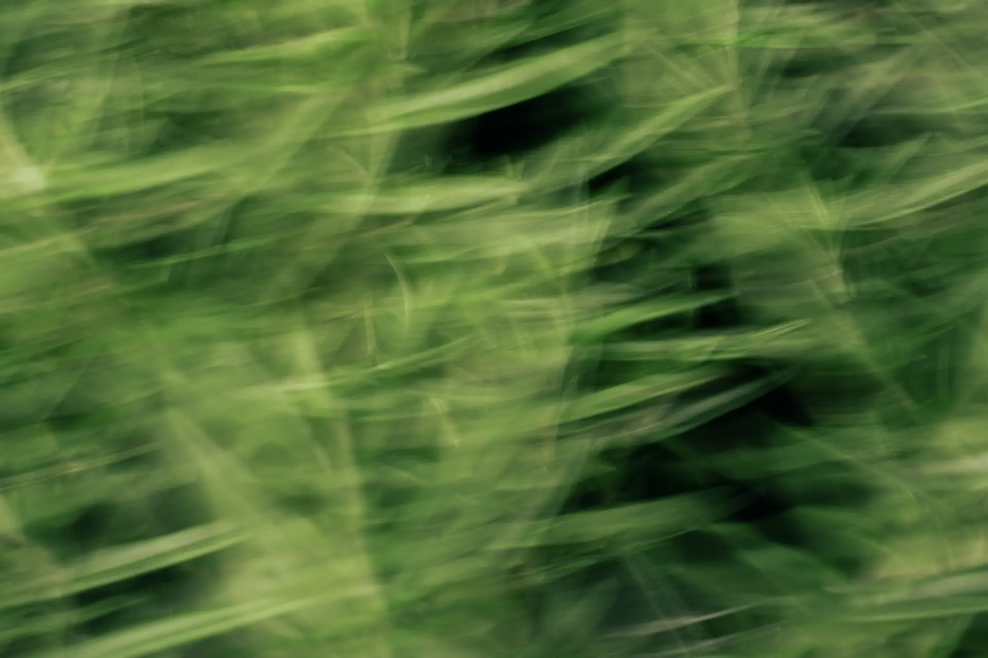 Berberin Blutzucker Komplex Bild zu Aktiviert natürliche Stoffwechselprozesse