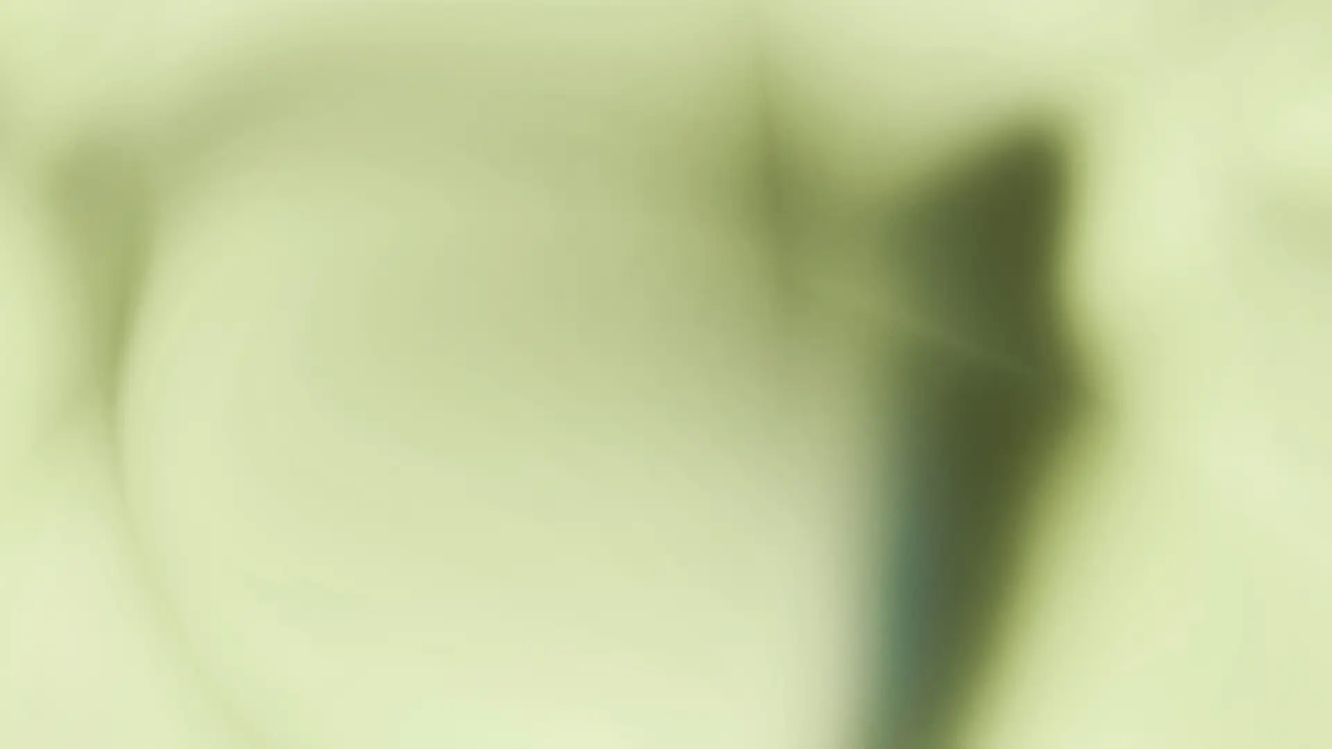 Female Balance Set Bild zu Für Energiestoffwechsel¹ & Muskeln²