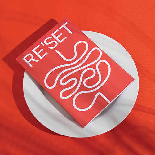 Reset (Einzelpaket) Bild zu RESET Broschüre