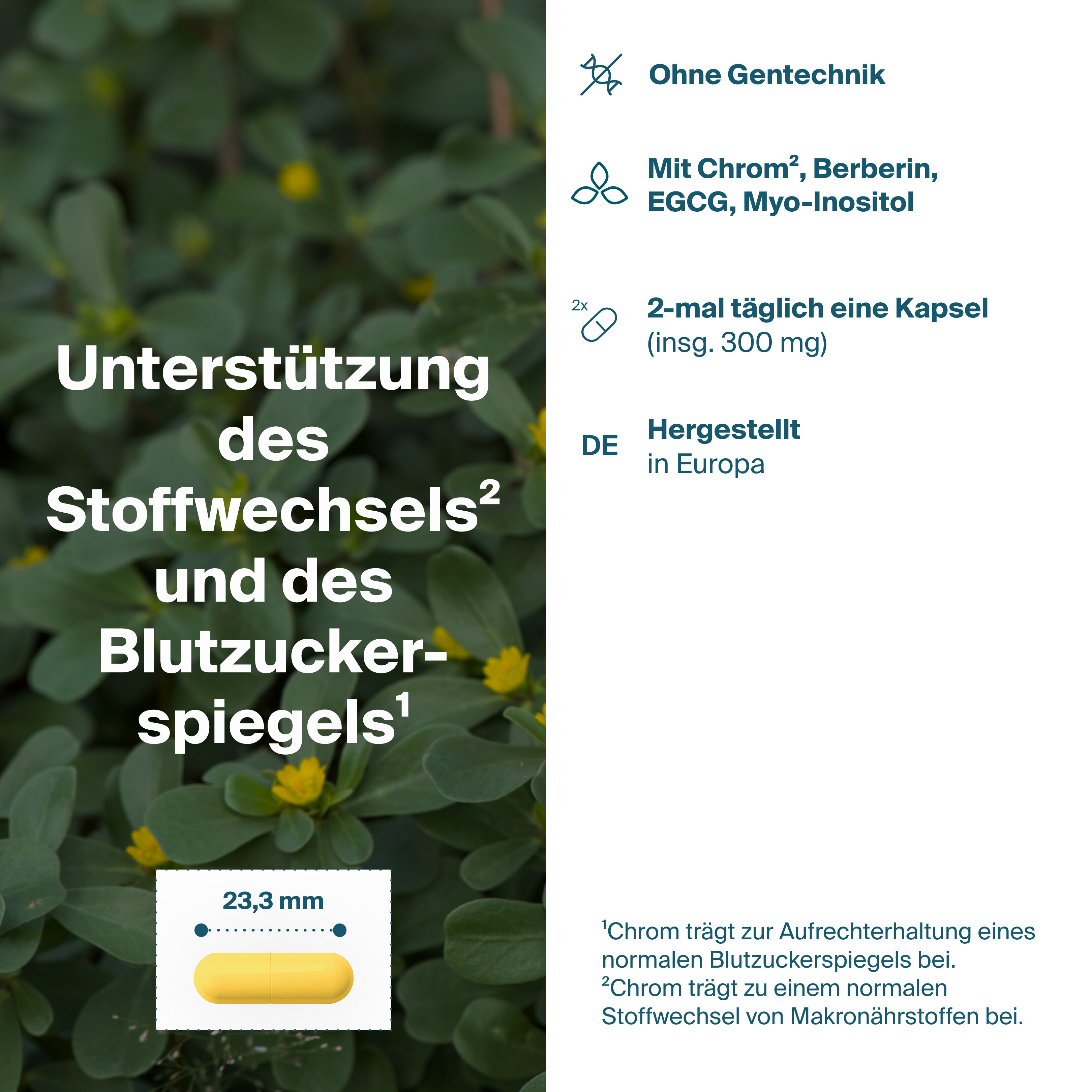 Blutzucker Komplex