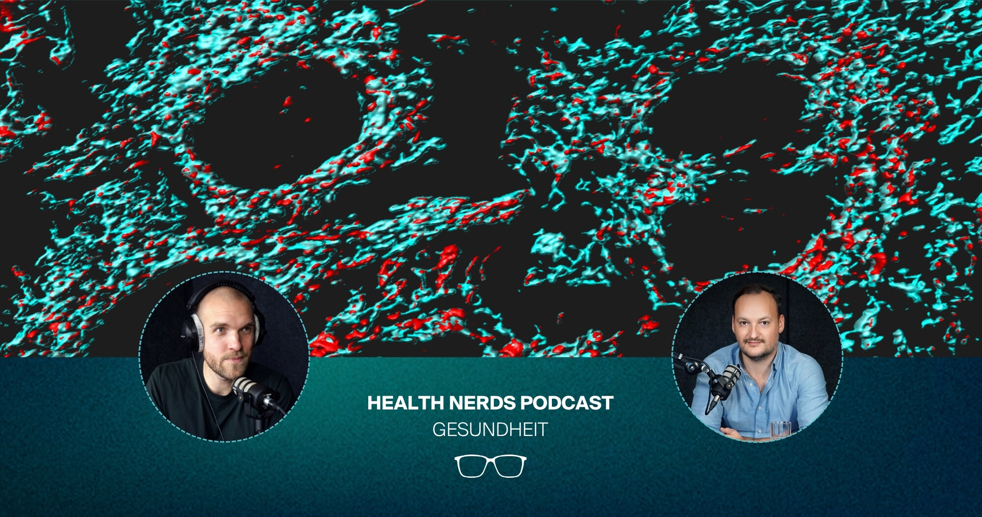 Zelluläre Energie: Wie Coenzym Q10 & PQQ Deine Zellkraftwerke (Mitochondrien) stärken