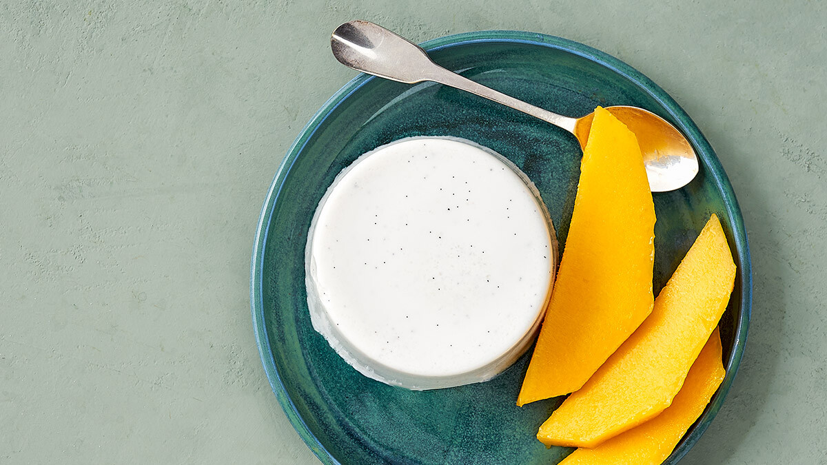 rezept artgerecht kokos panna cotta mango