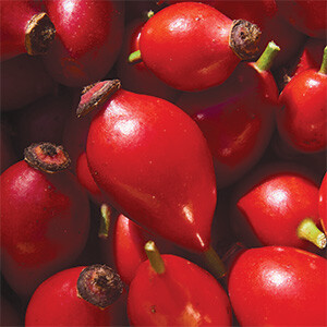 Vitamin C Bild zu From rosehip extract (70% vitamin C content)
