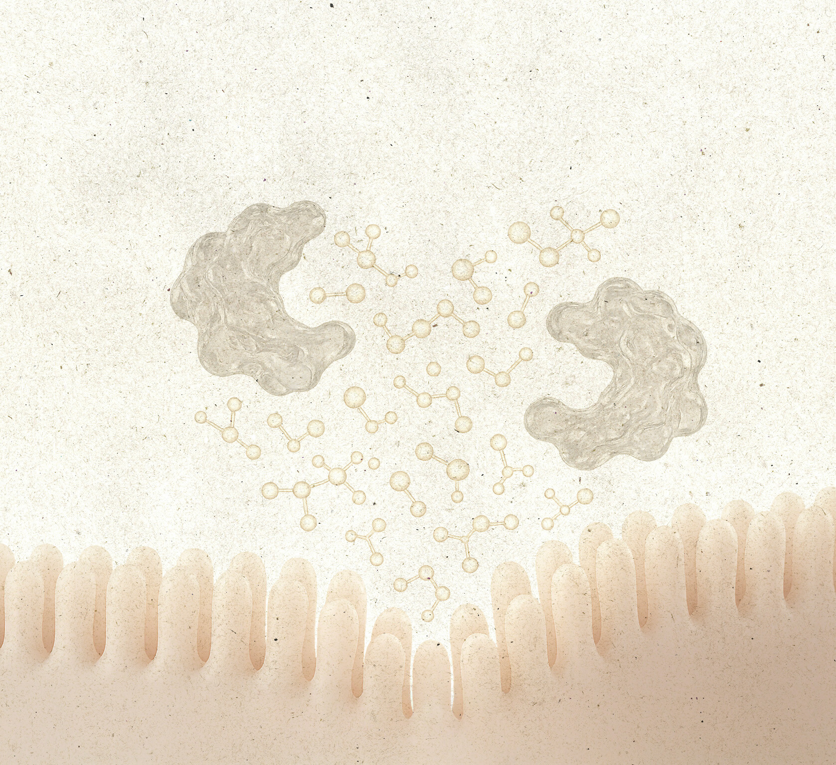 Häufig gestellte Fragen rund um Nzym | Enzym Komplex – einfach erklärt Symbolbild für FAQ zu Nzym | Enzym Komplex – Antworten auf deine Fragen