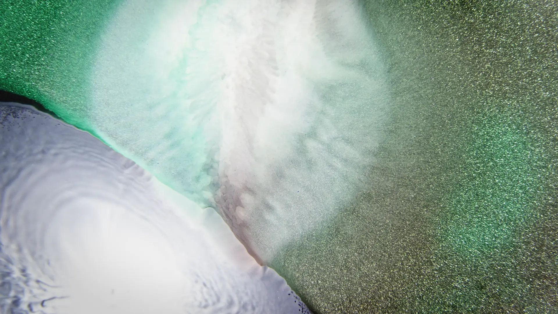 Darstellung von Aminosäuren Pulver EVAA® – natürliche Unterstützung für dein Immunsystem