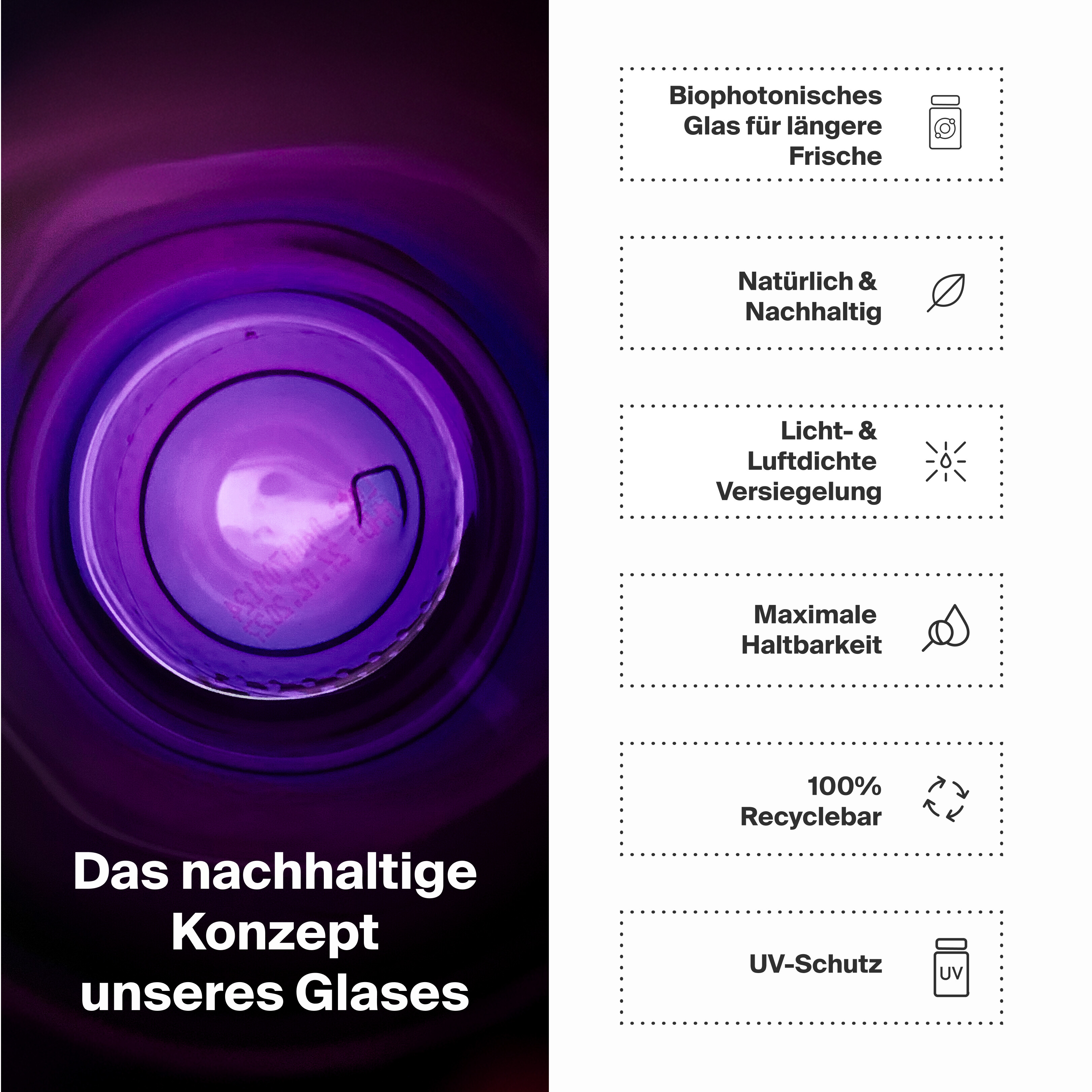 Q10 PQQ Komplex