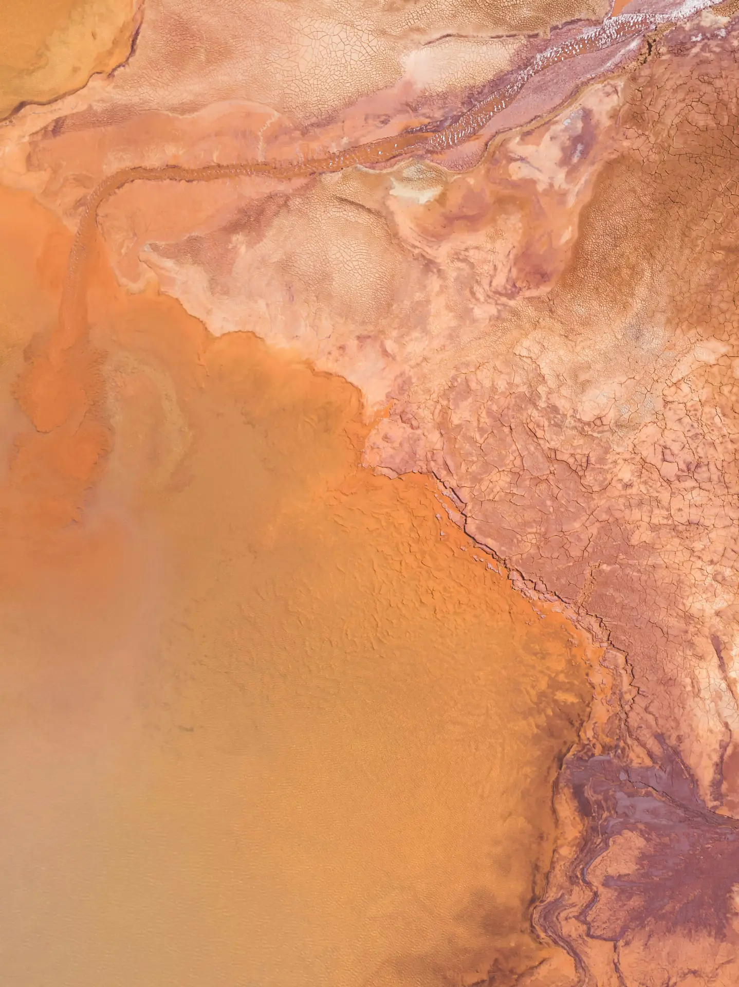 Elektrolyte Pulver Plus Orange Bild zu  Mit Vitamin B2 (Riboflavin) und D-Ribose