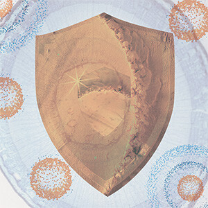 Unterstützt Immunsystem Protect (Beutel) Bild zu Unterstützt Immunsystem