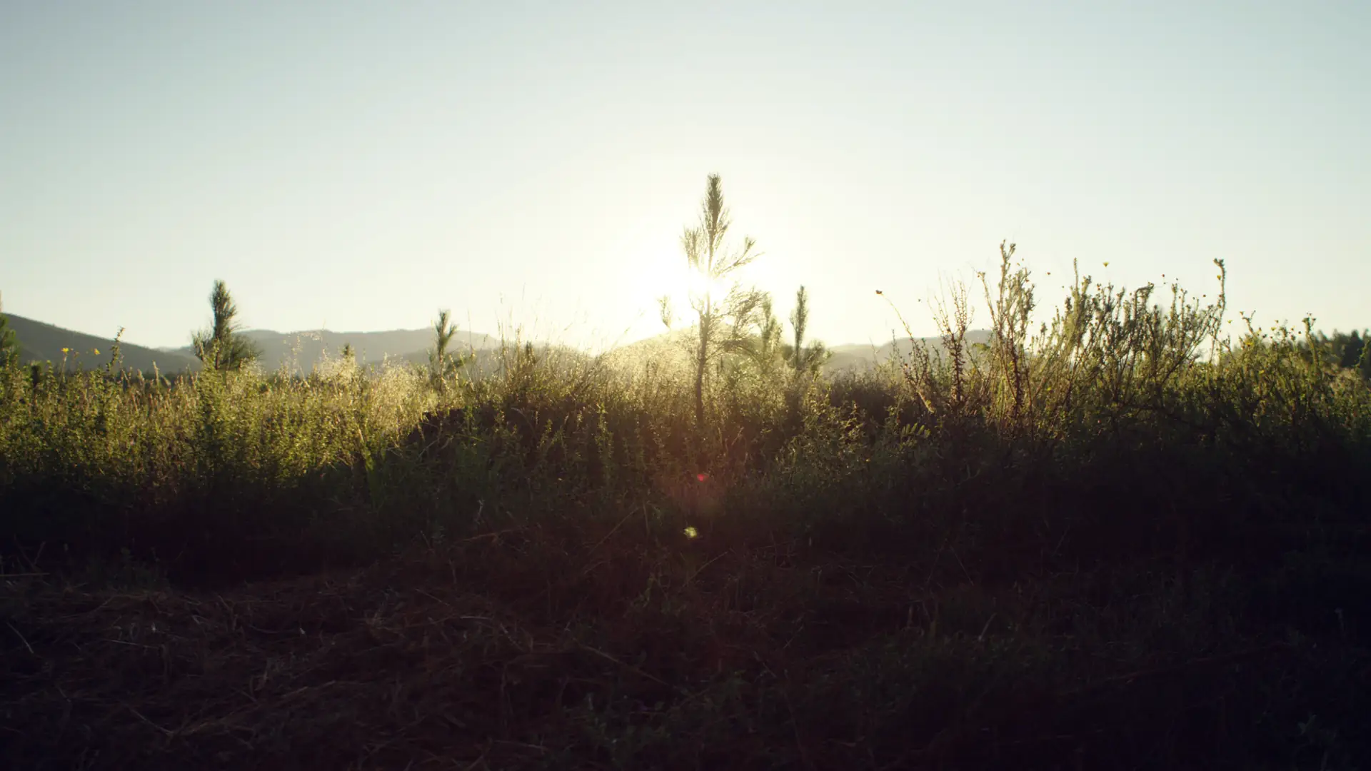 Infografik zur wissenschaftlichen Forschung rund um Vitamin D3 + K1 + K2 1.000 I.E.