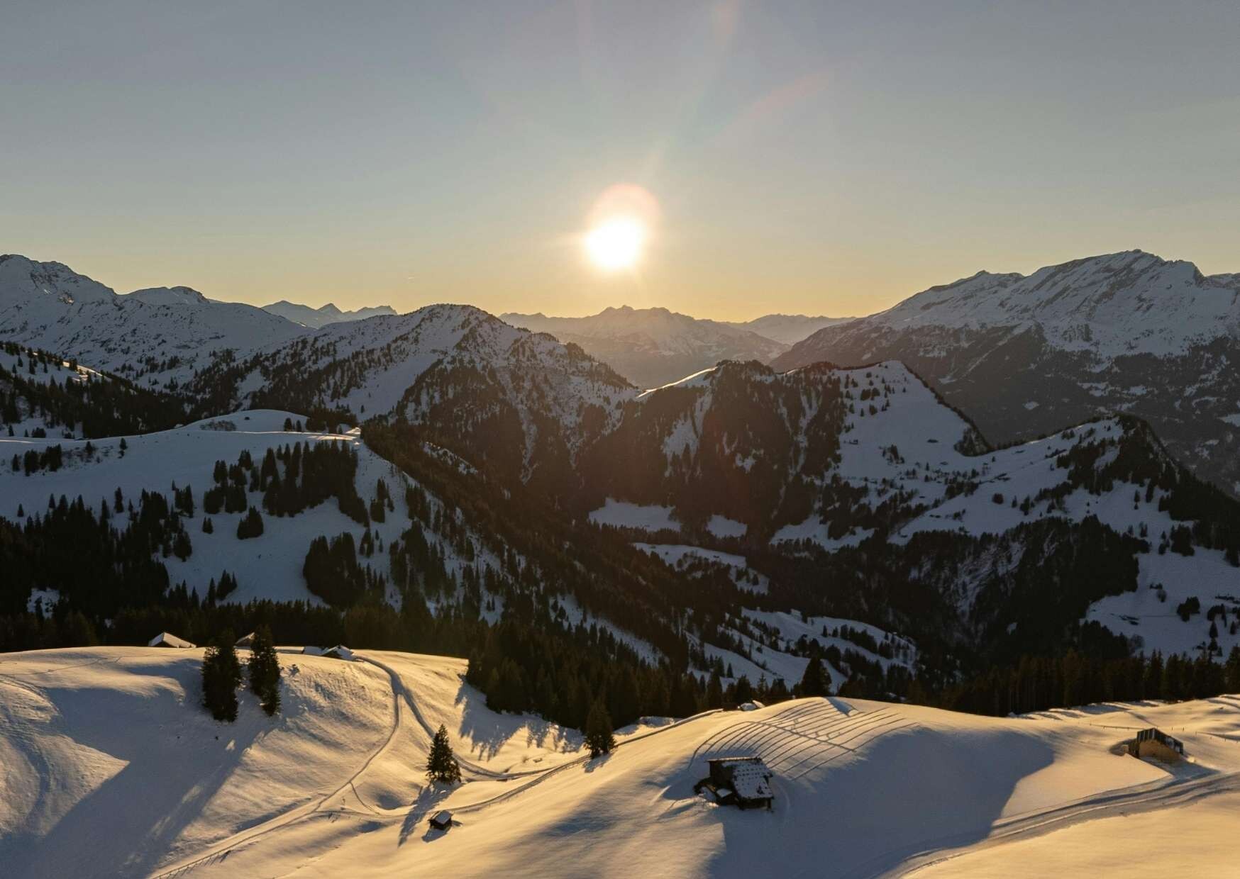 Vitamin D im Herbst und Winter: Warum Supplementierung sinnvoll sein kann
