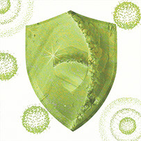 Support for the Immune System Multi Bild zu Support for the Immune System