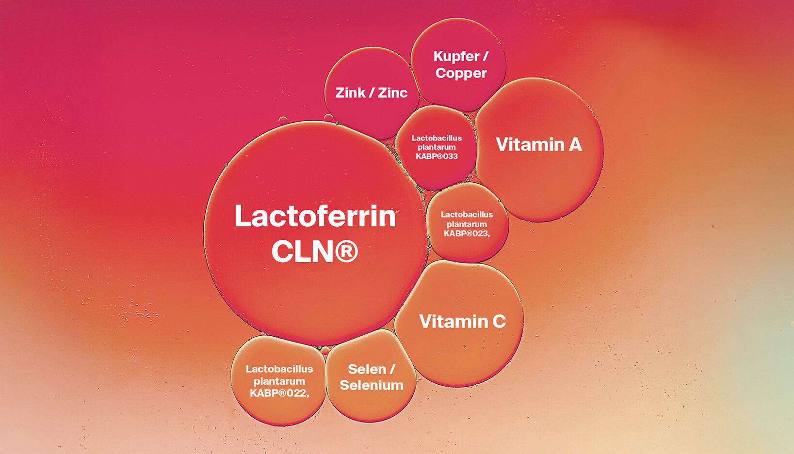 Infografik zur wissenschaftlichen Forschung rund um Lactoferrin Immun+