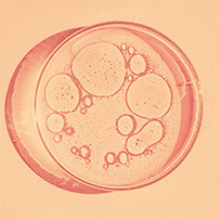 Gentle full-spectrum extraction Osole 30 ml Bild zu Gentle full-spectrum extraction