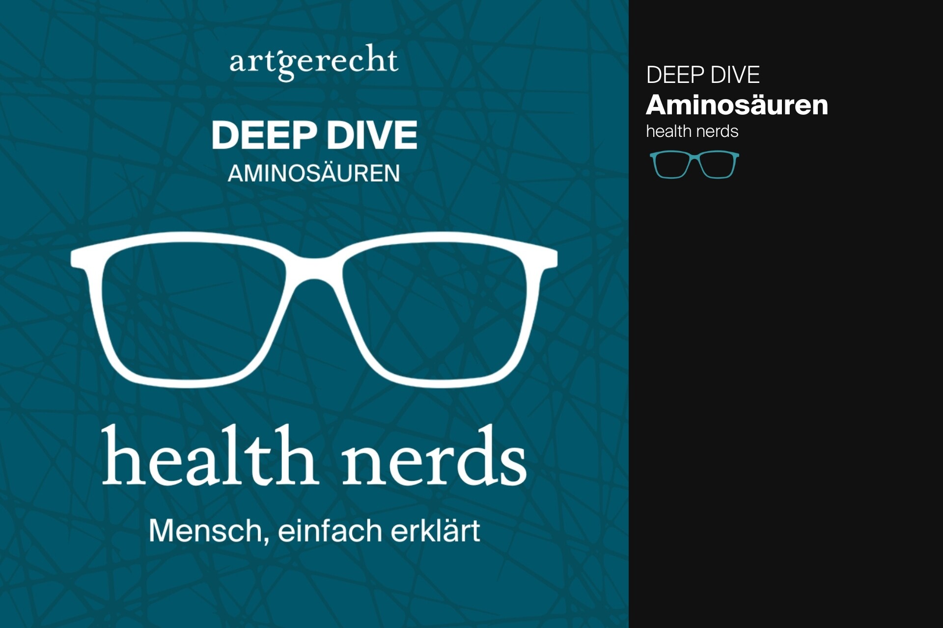 DEEP DIVE – Aminosäuren - AMIN Evolution Adapted Amino Acids