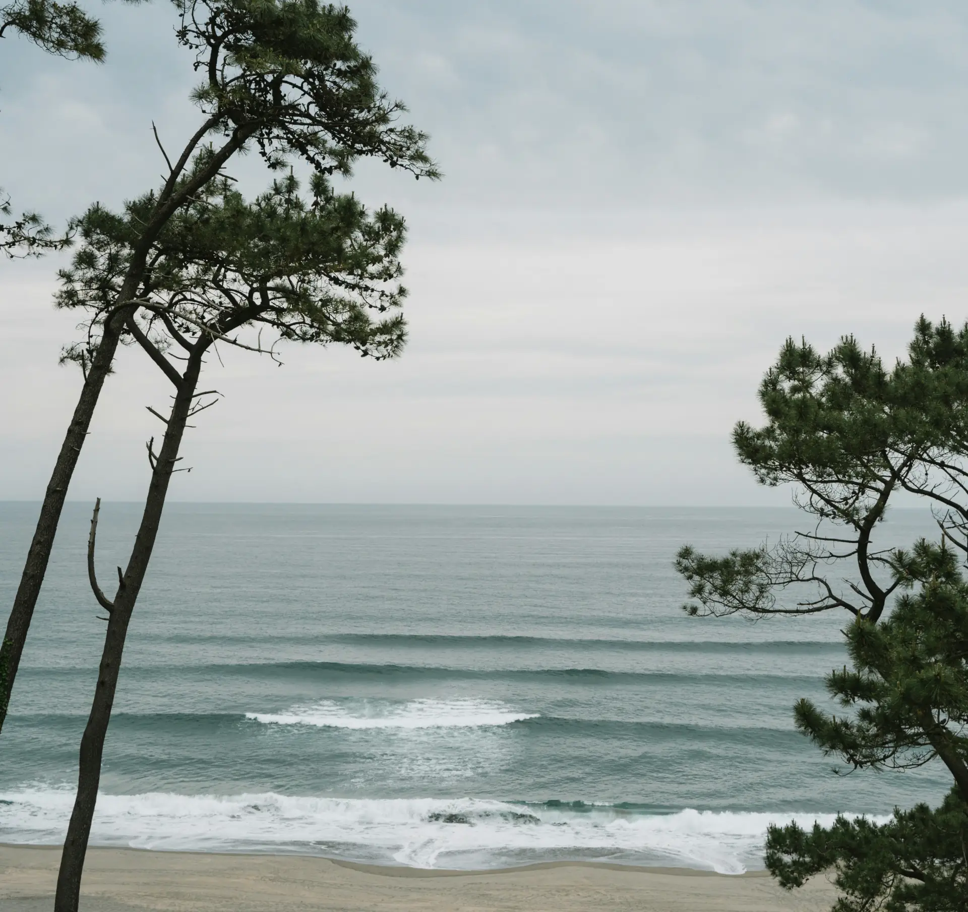 Kollagen Hydrolysat Bild zu Nachhaltige Herkunft: Friend of the Sea®