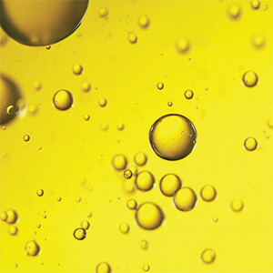 Oxidativer Schutz Phenolio (Bio) Bild zu Oxidativer Schutz