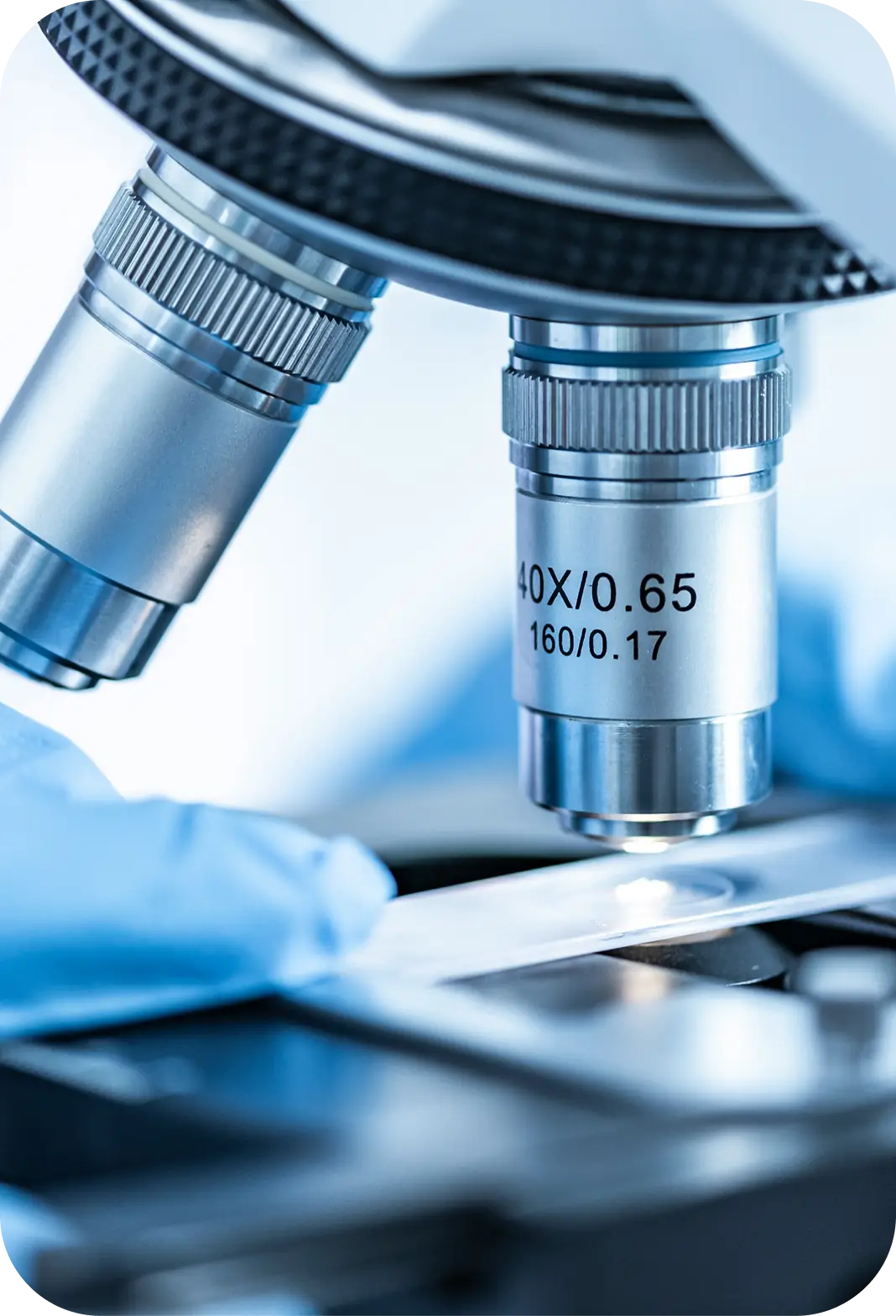 Grafik zur Funktionsweise von Aminosäuren Pulver EVAA® im Körper