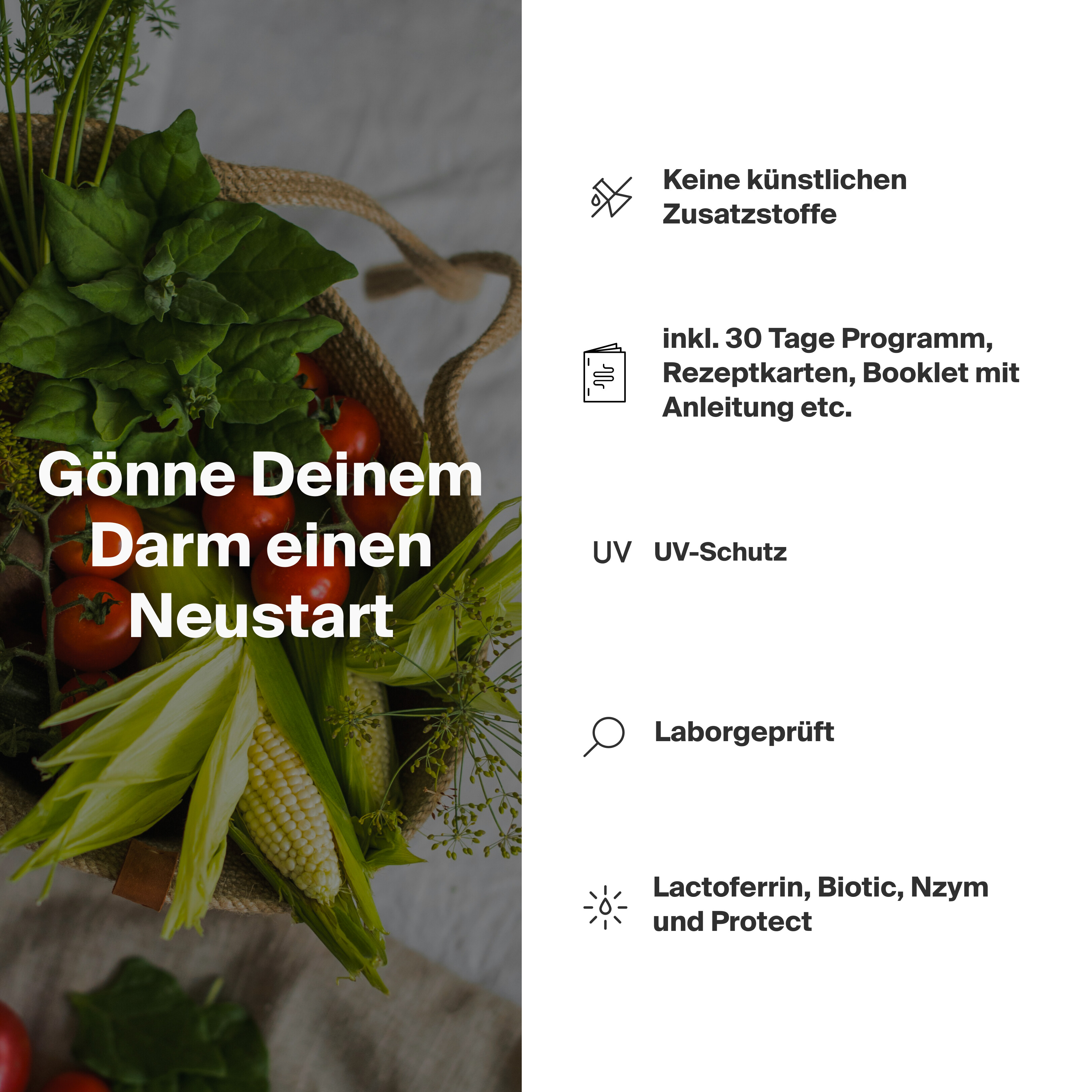 Reset (Einzelpaket)