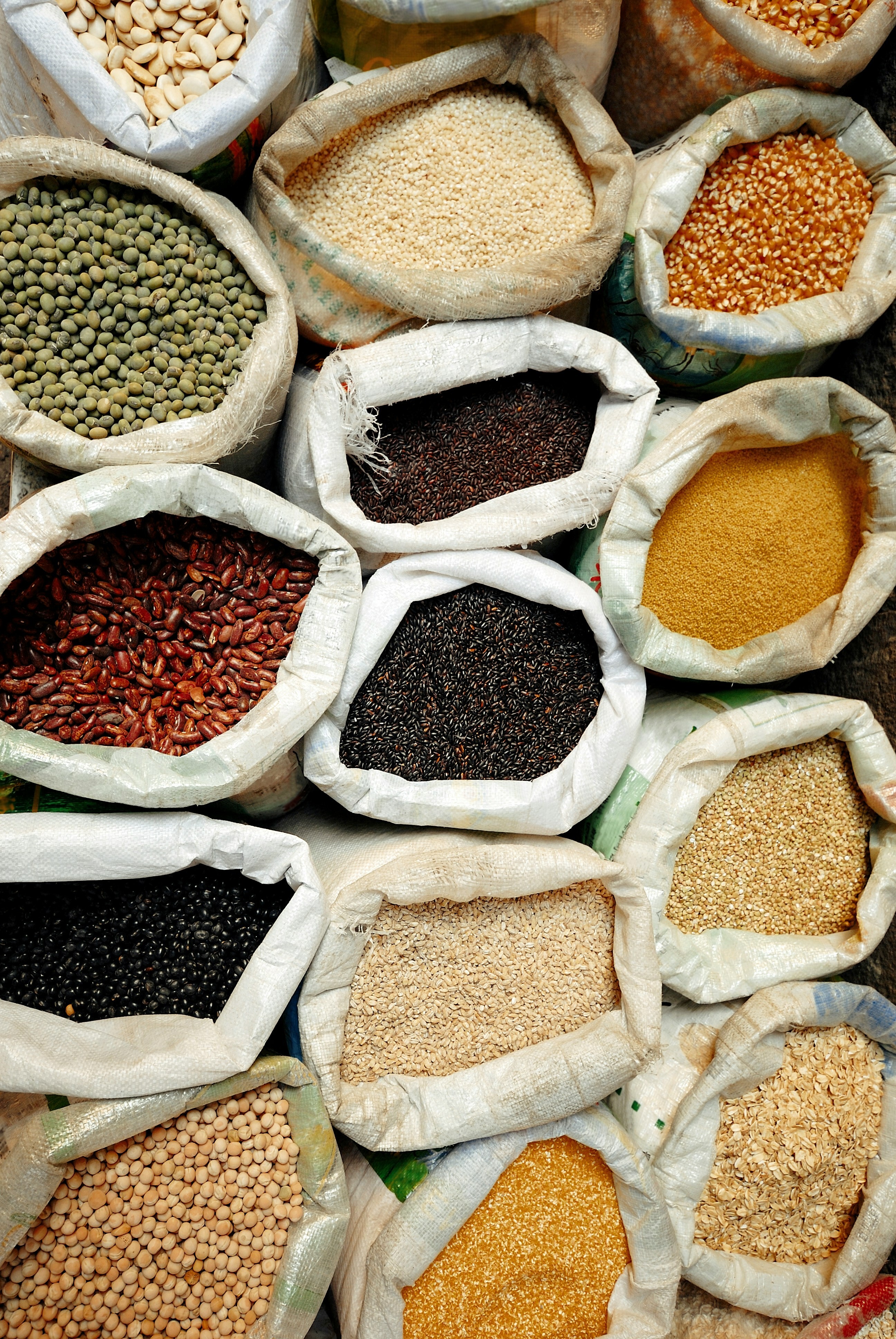 Übersicht der Inhaltsstoffe von Essentials Multivitamin Komplex – natürlich & rein