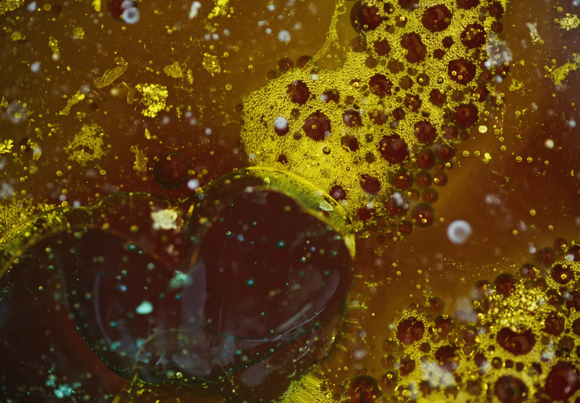 Infografik zur wissenschaftlichen Forschung rund um Leber Komplex OPC