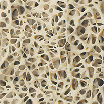 Strengthens teeth, bones, and the immune systemยฒ Osole 30 ml Bild zu Strengthens teeth, bones, and the immune systemยฒ