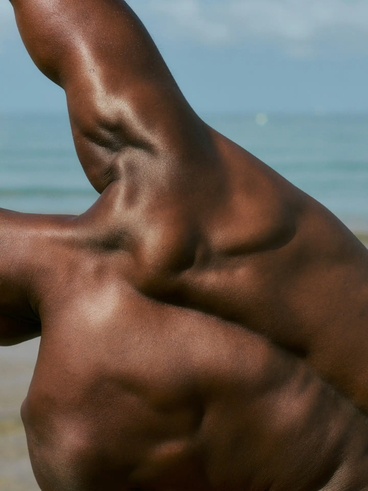 artgerecht MUSKELAUFBAU SPORT