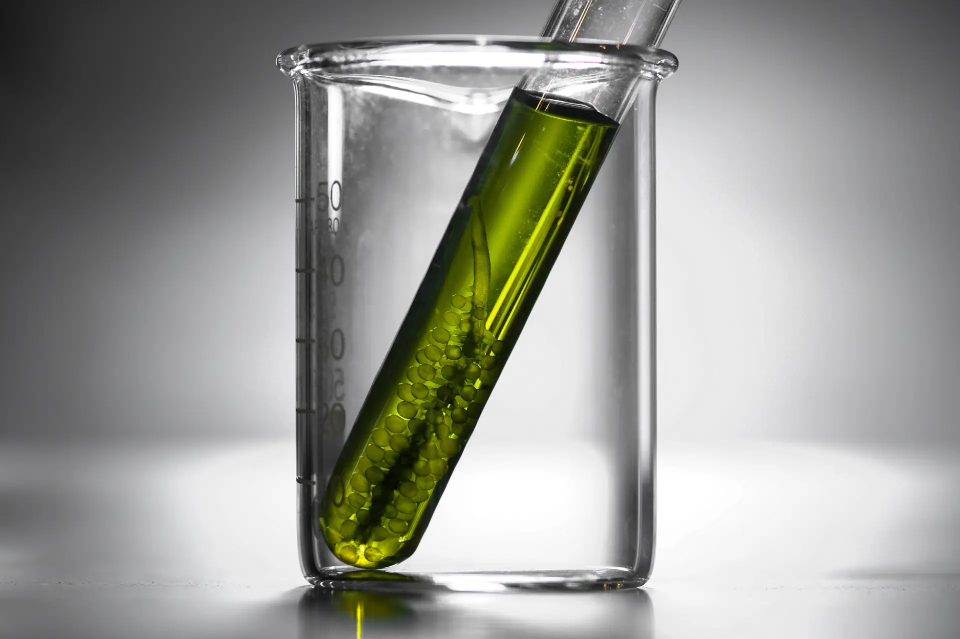 Astaxanthin 8 mg Bild zu Bei oxidativem Stress