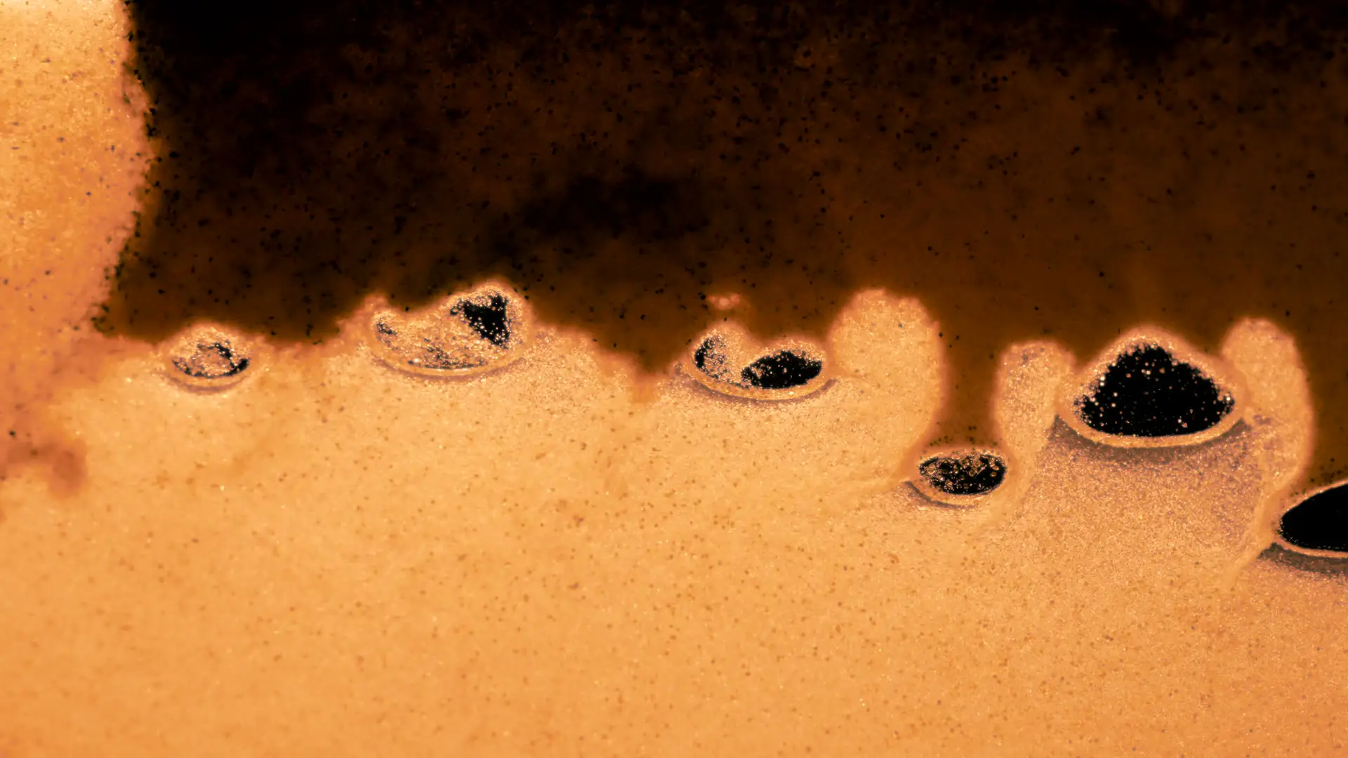 Darstellung von Resveratrol Longevity – natürliche Unterstützung für dein Immunsystem