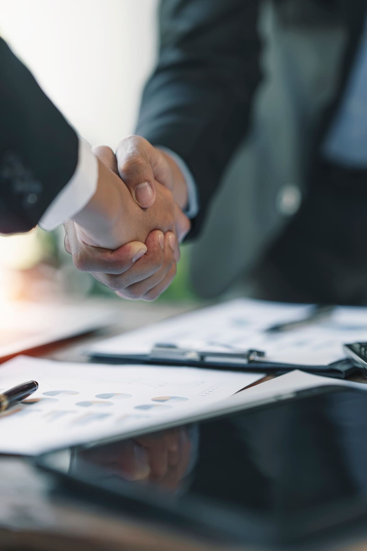 artgerecht PARTNERSCHAFT PARACELSUS