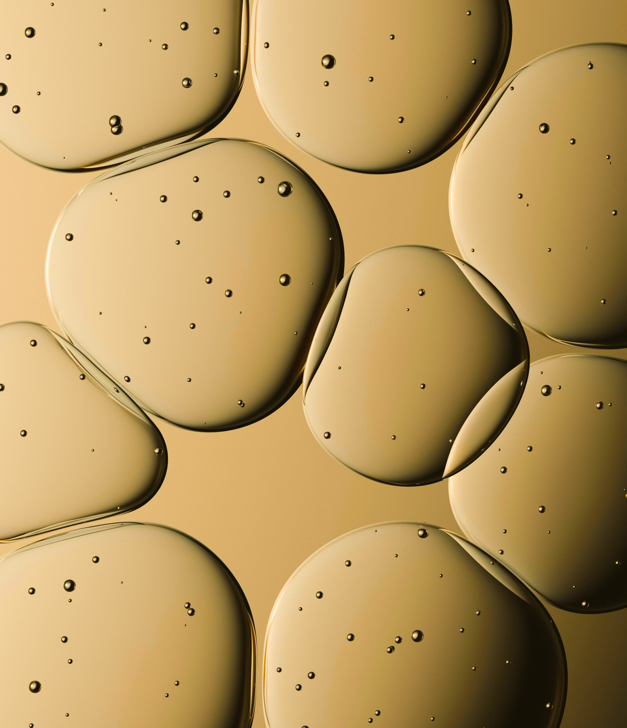 Biomfiber PHGG 300g Bild zu Präbiotischer Ballaststoff