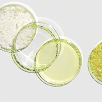Diverse Vitamins Multi Bild zu Diverse Vitamins