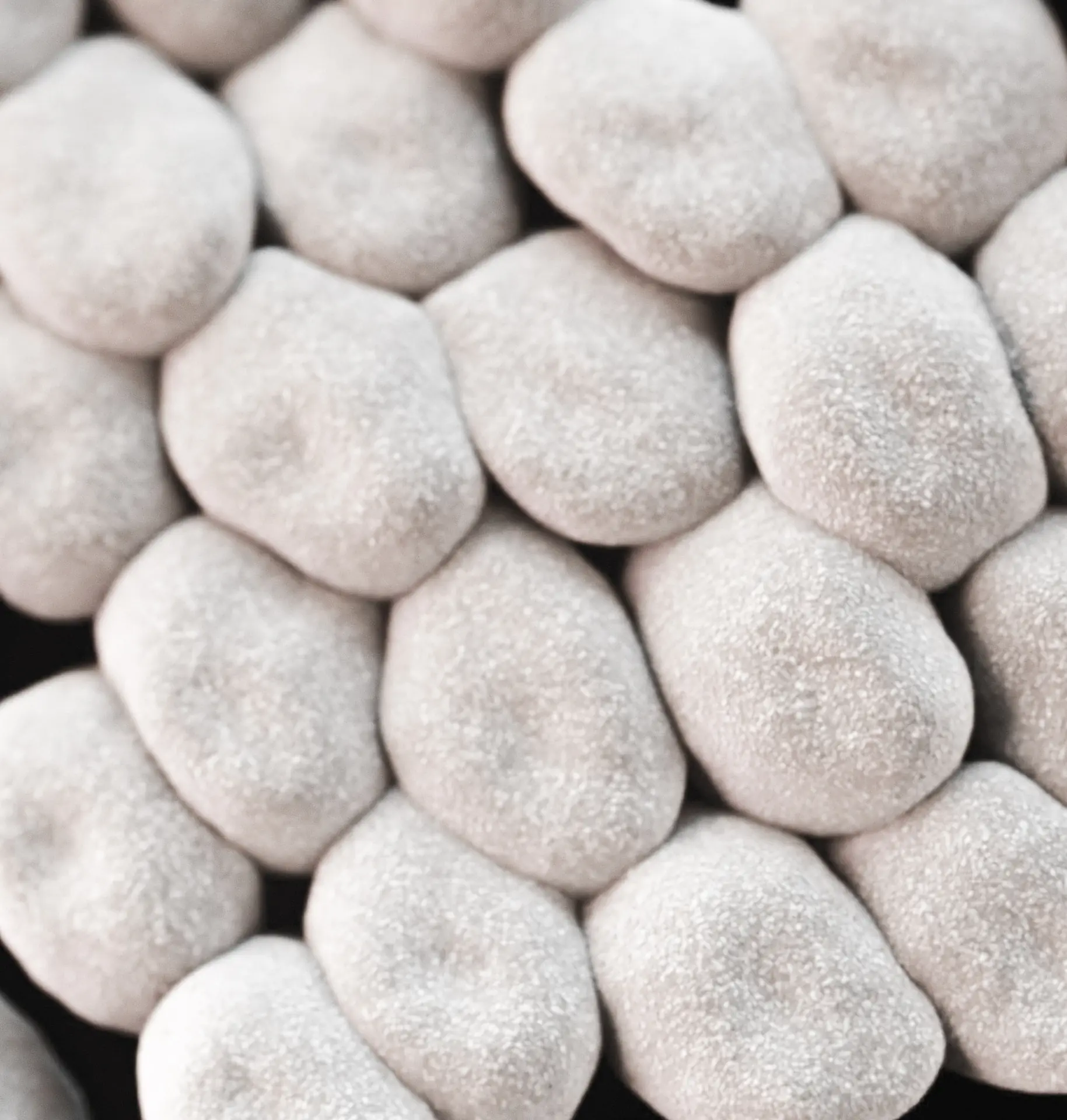 Floral | Probiotische Zahnprophylaxe Bild zu 500 Mio. probiotische Milchsäurebakterien 