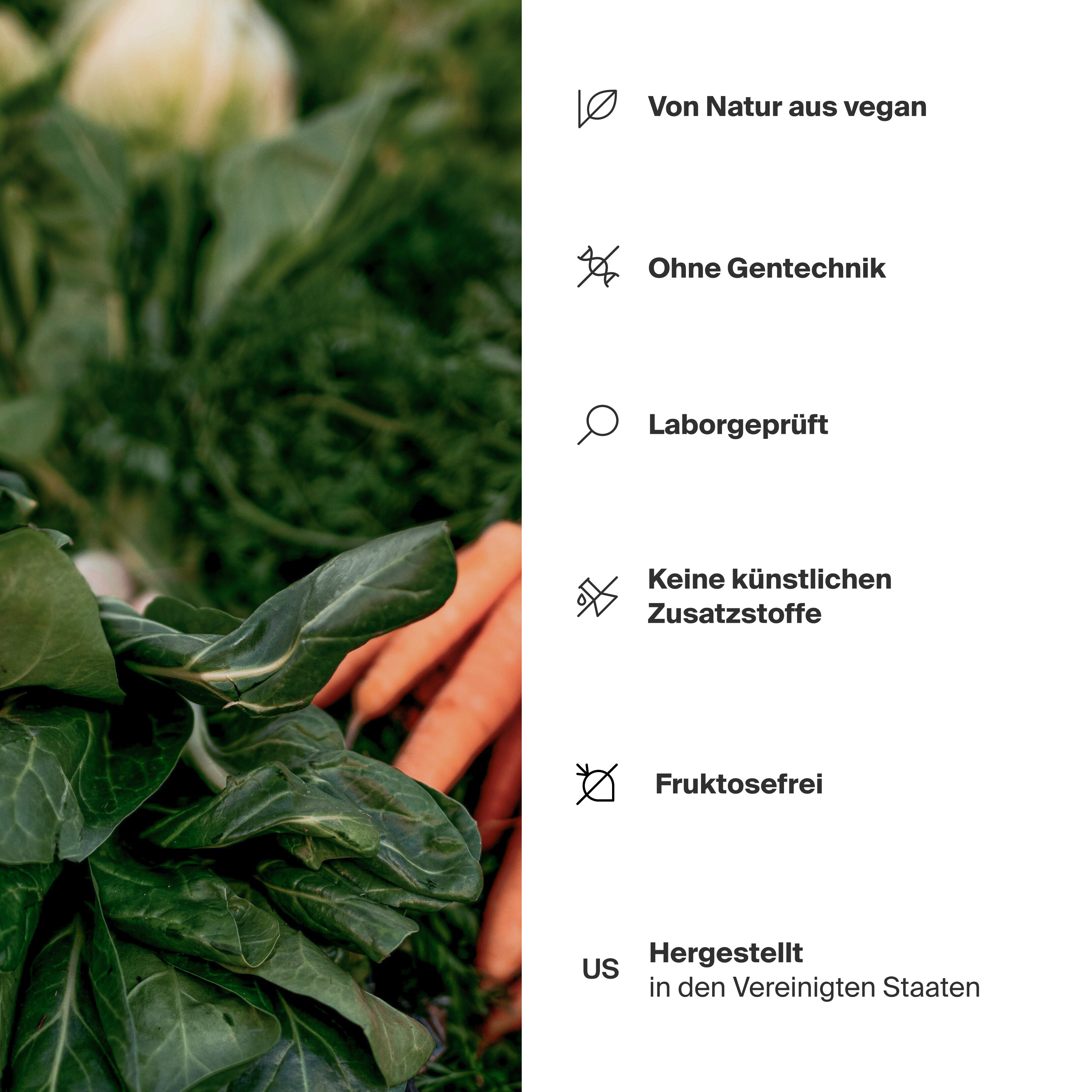 Essentials Multivitamin Komplex