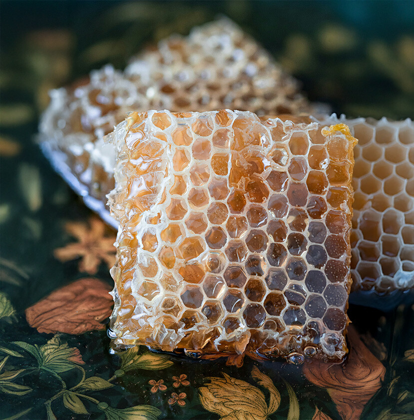 Was ist Manuka Honig? Erfahre mehr über Wirkung und Vorteile Darstellung von Manuka Honig – natürliche Unterstützung für dein Immunsystem