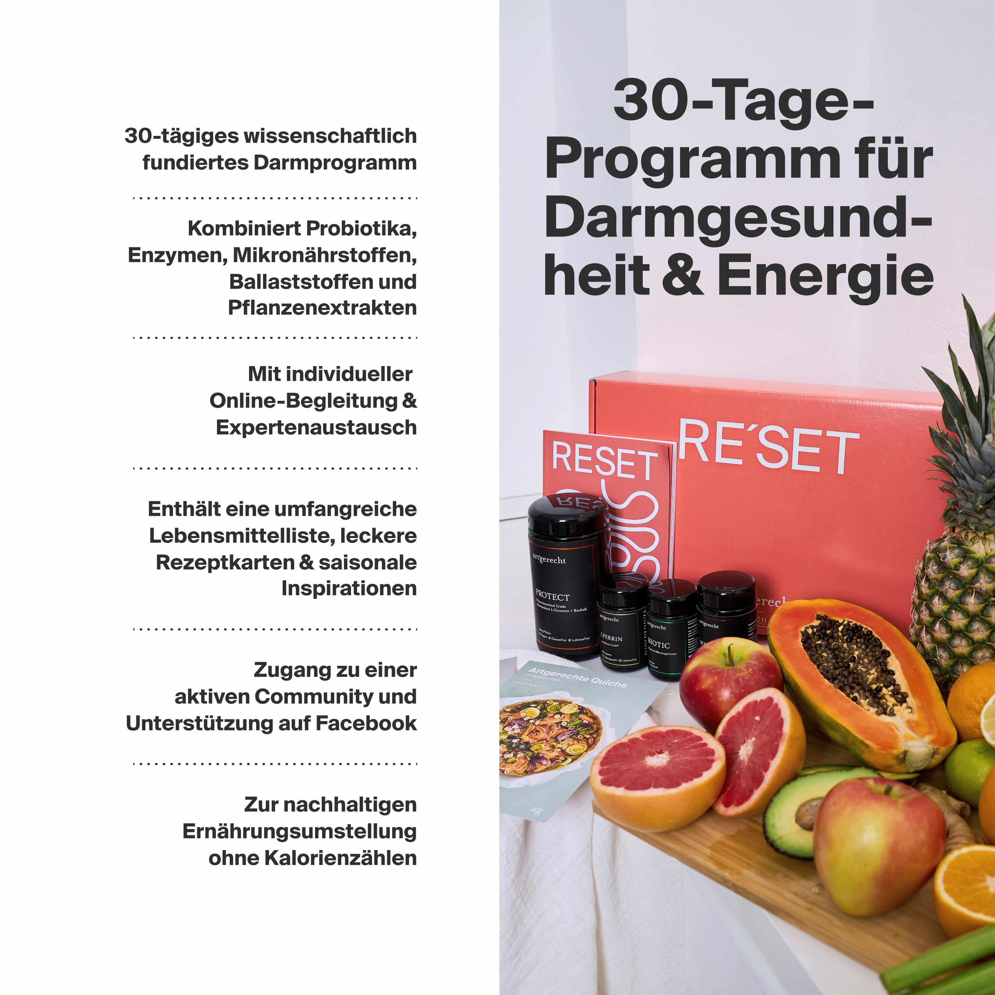Reset (Einzelpaket)