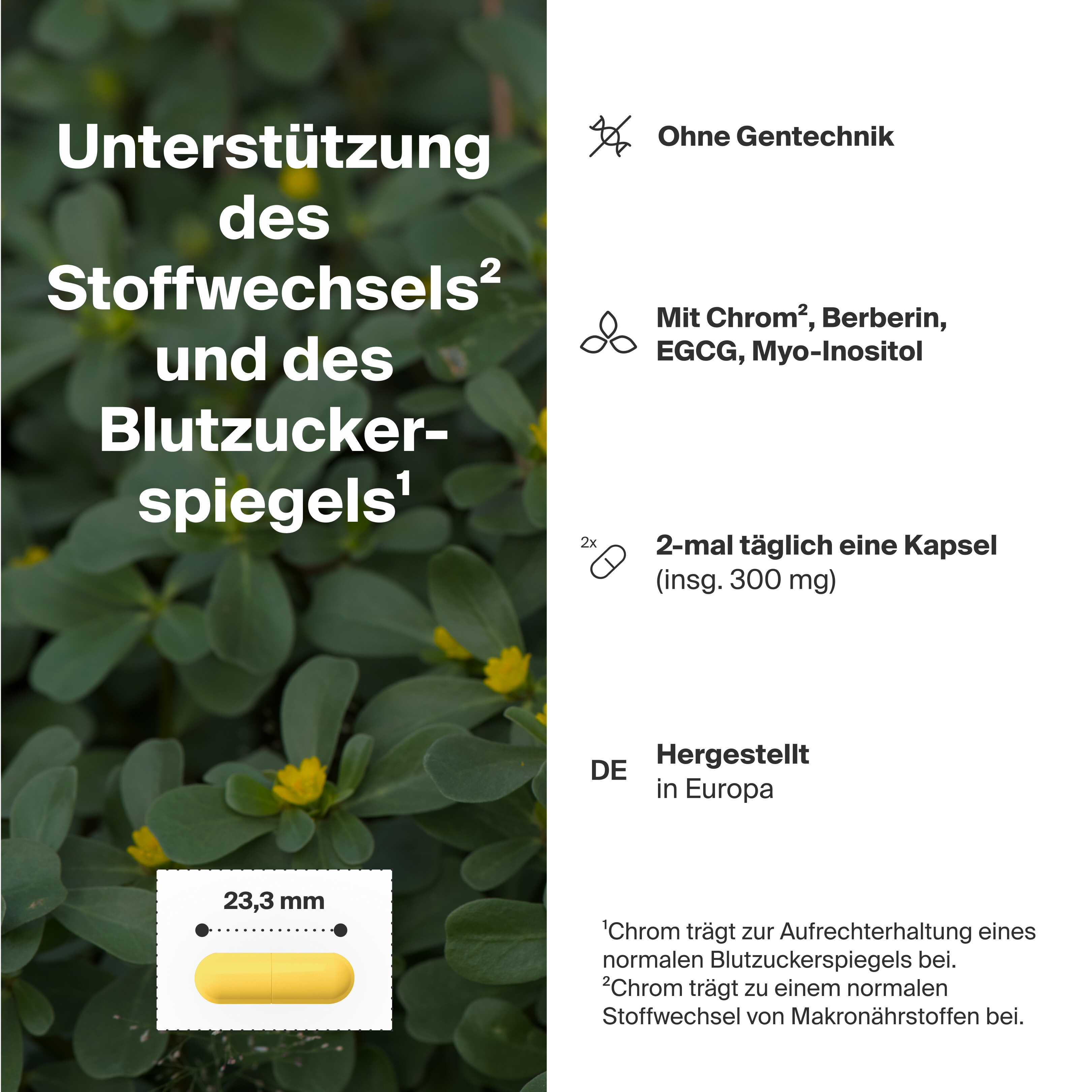Blutzucker Komplex