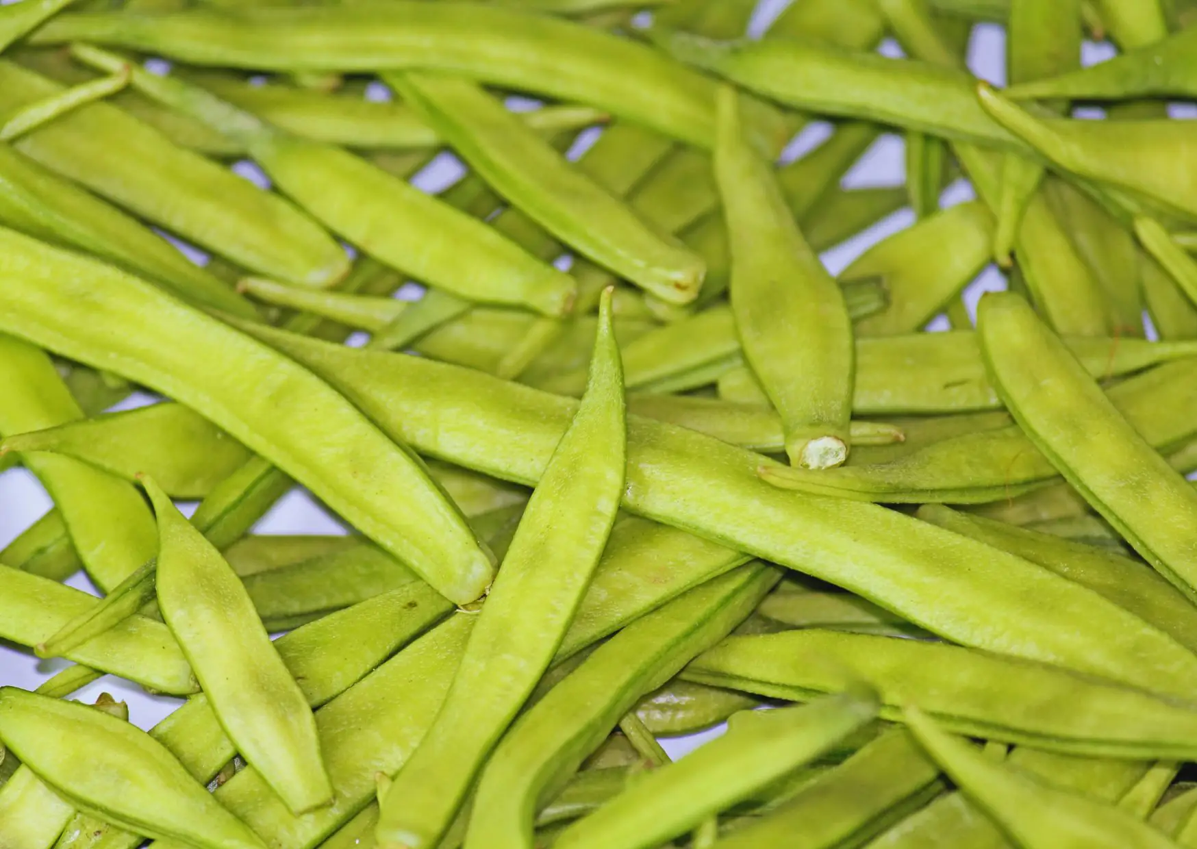 artgerecht NEUE INNOVATIONEN PHGG AG