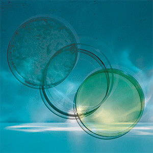 Ultra-pure citrates: magnesium, potassium, calcium, sodium Bild zu Ultra-pure citrates: magnesium, potassium, calcium, sodium