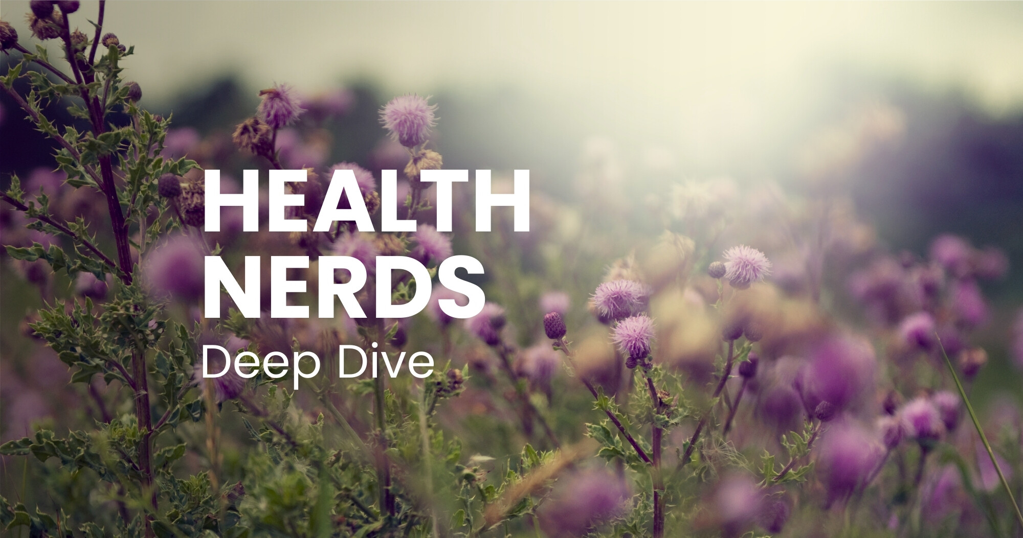 DEEP DIVE - Amino acids - AMIN Evolution Adapted Amino Acids