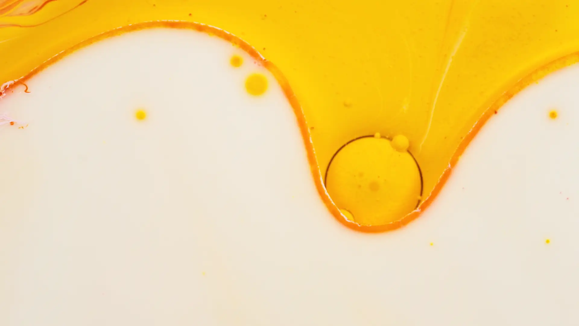 Darstellung von Vitamin D3 + K1 + K2 1.000 I.E. – natürliche Unterstützung für dein Immunsystem