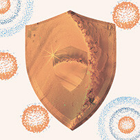 Bestandteil des körpereigenen Immunsystems Lactoferrin Bild zu Bestandteil des körpereigenen Immunsystems
