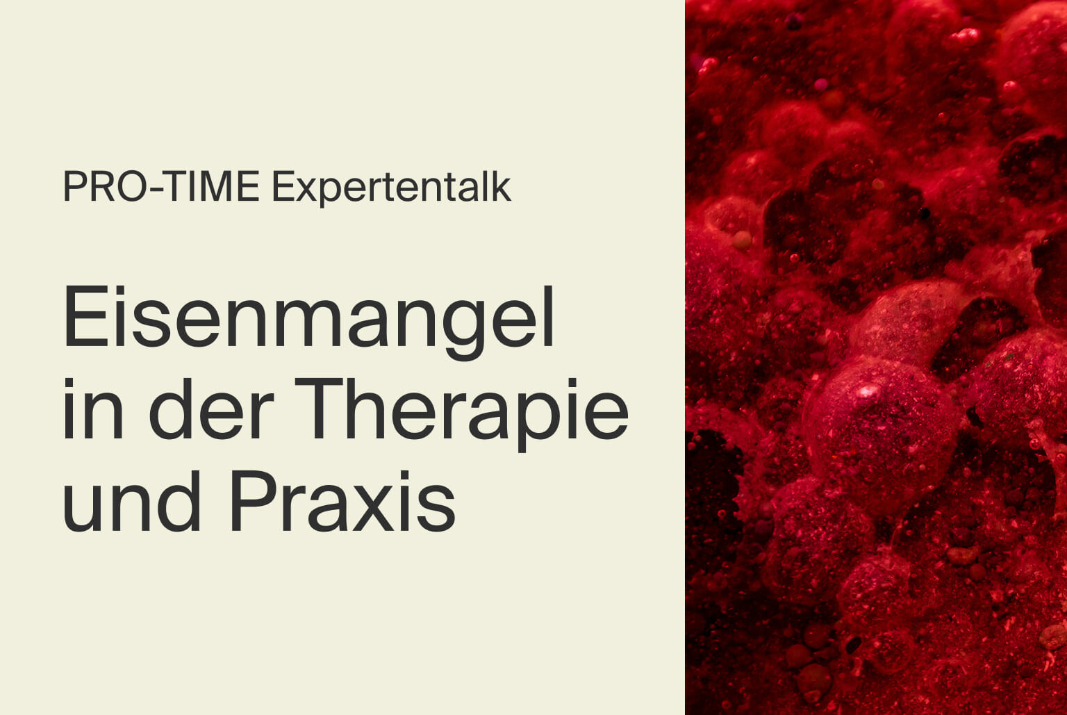 artgerecht PRO TIME EXPERTENTALK EISENMANGEL HEADER