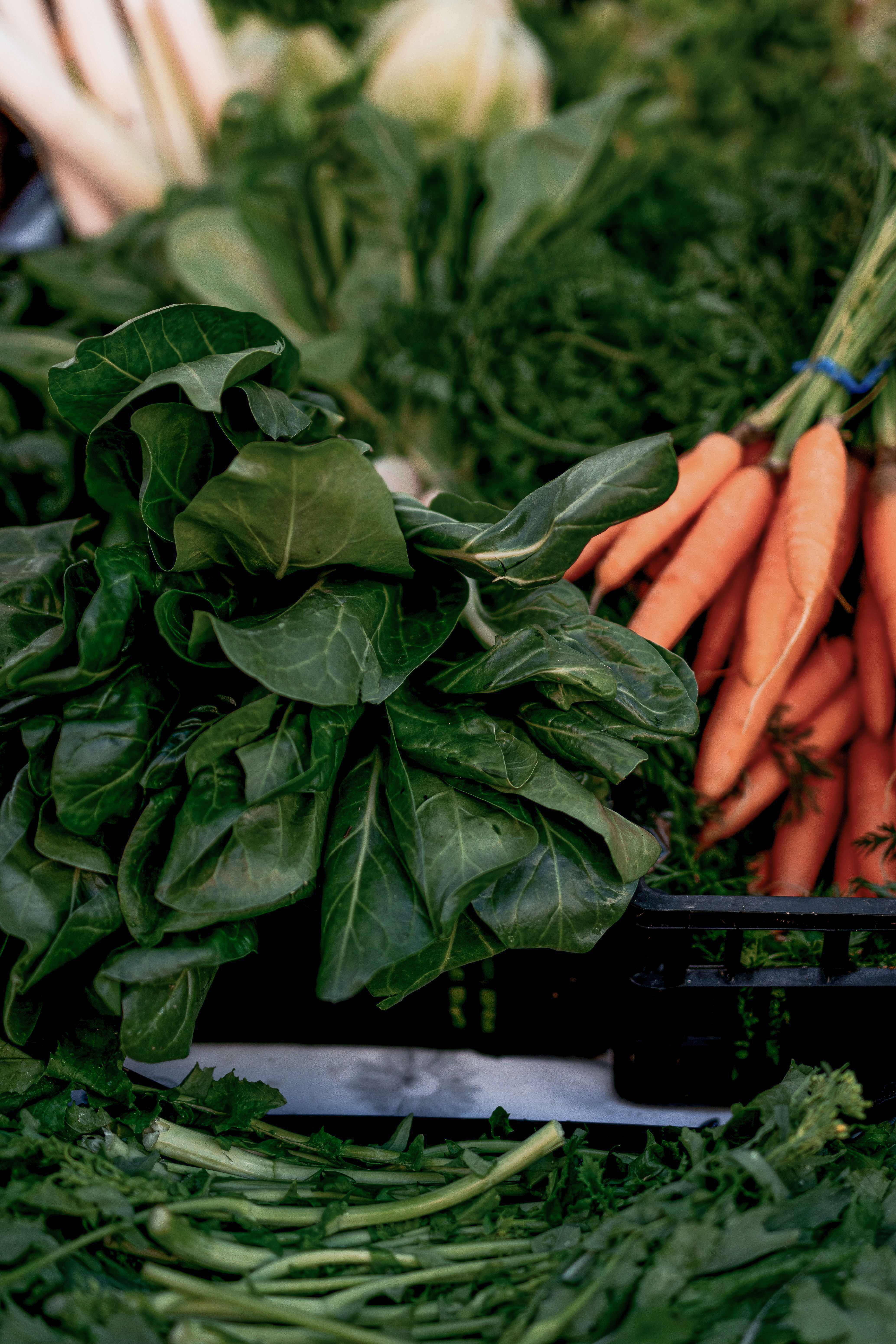 Darstellung von Essentials Multivitamin Komplex – natürliche Unterstützung für dein Immunsystem