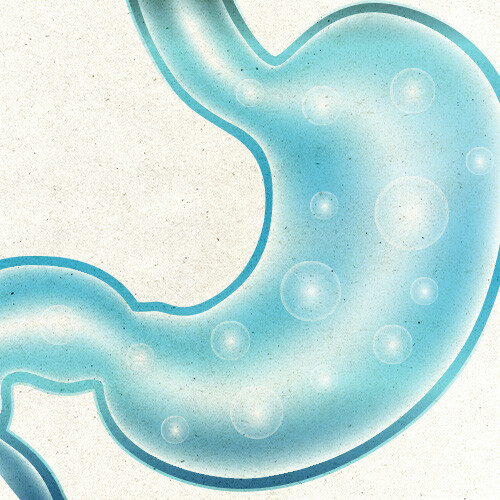 Darmbalance Biotic Bild zu Darmbalance