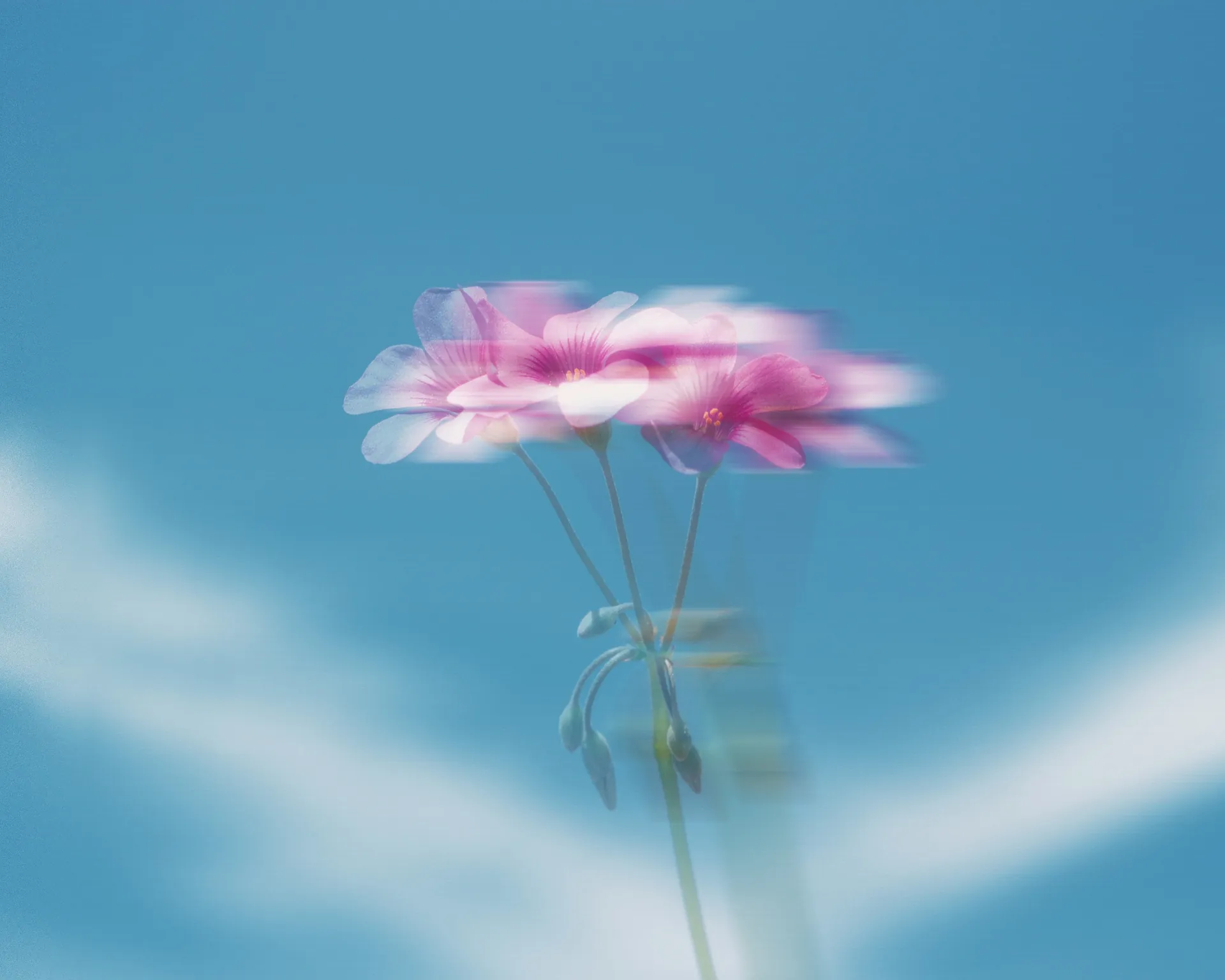 Die beliebtesten Beiträge