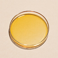 Vitamin D-K combination Osole 30 ml Bild zu Vitamin D-K combination