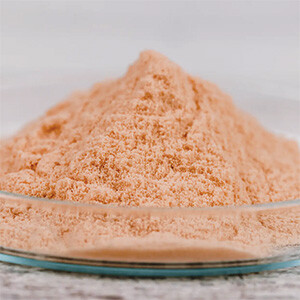 Natural Iron Bild zu Hochreines Lactoferrin als Eisenbinder und -transporter