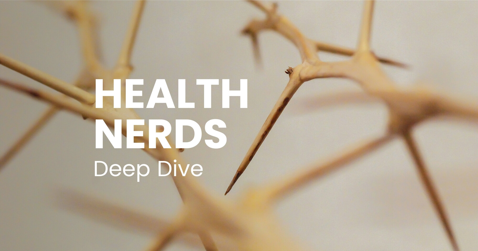 DEEP DIVE – Magnesium